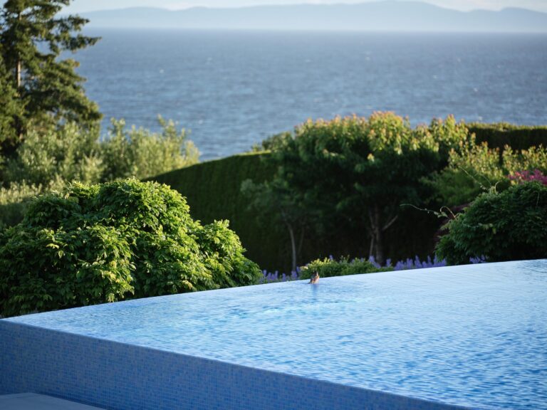 small bird bathing in swimming pool overlooking ocean view by Teragon